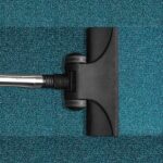 The Top Questions to Ask Your Carpet Cleaning Service Provider